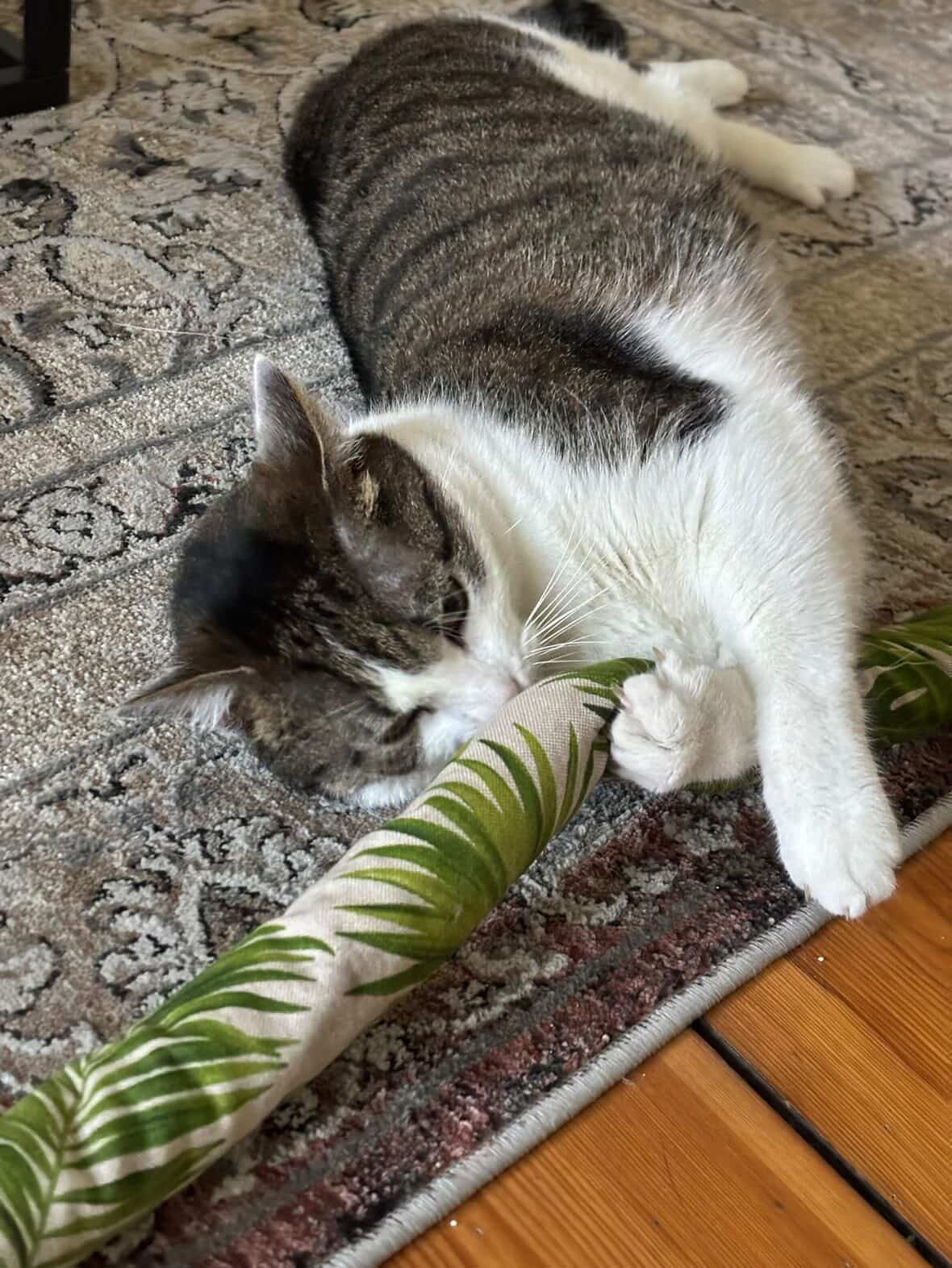 Rollissimo jungle purrmania