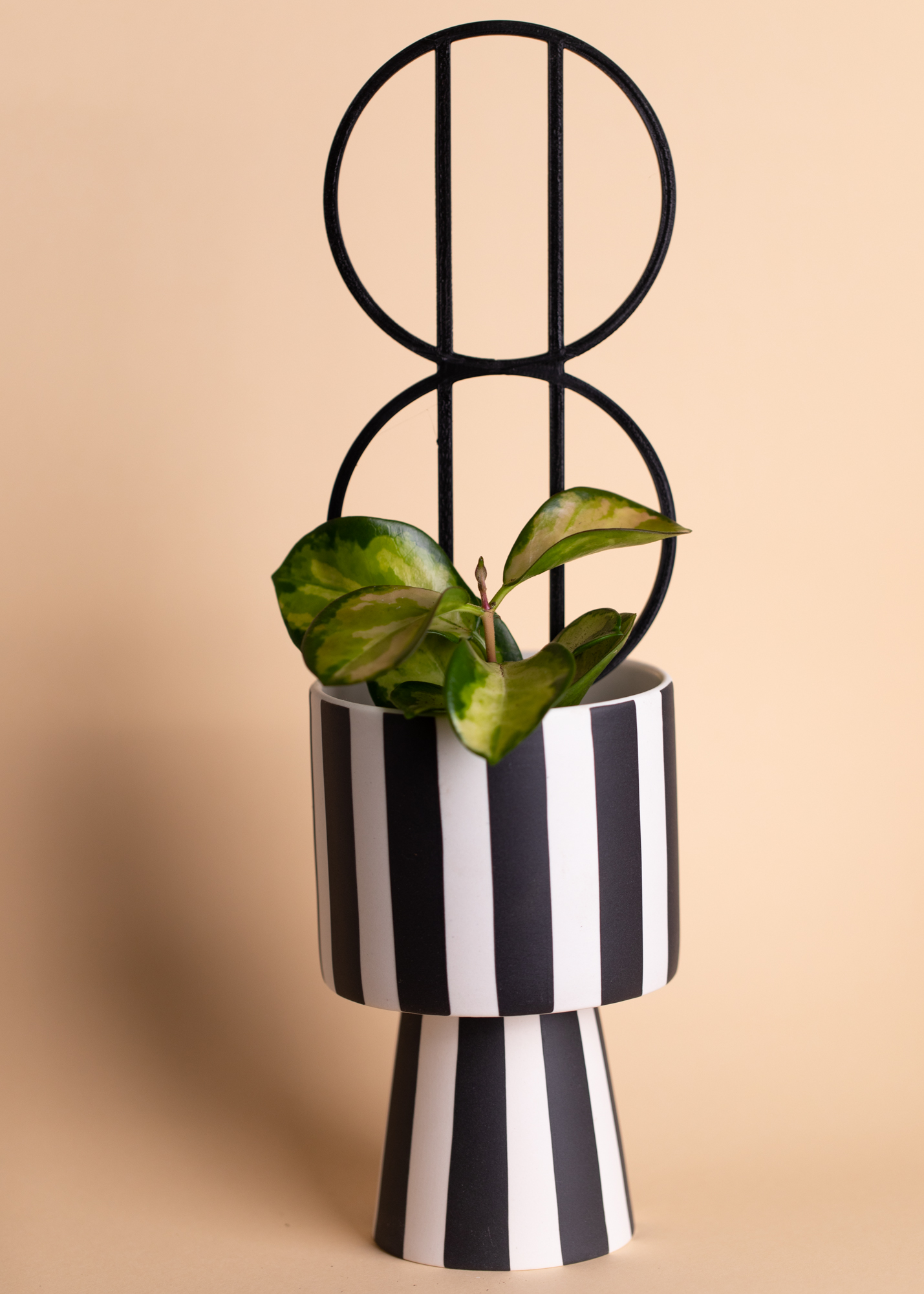 Planty Sphere Black