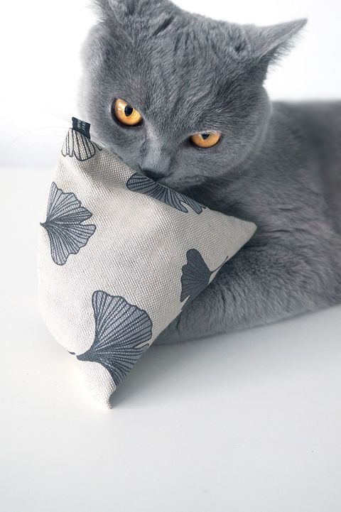 purramid Ginkgo (Baldrian + Catnip) purrmania